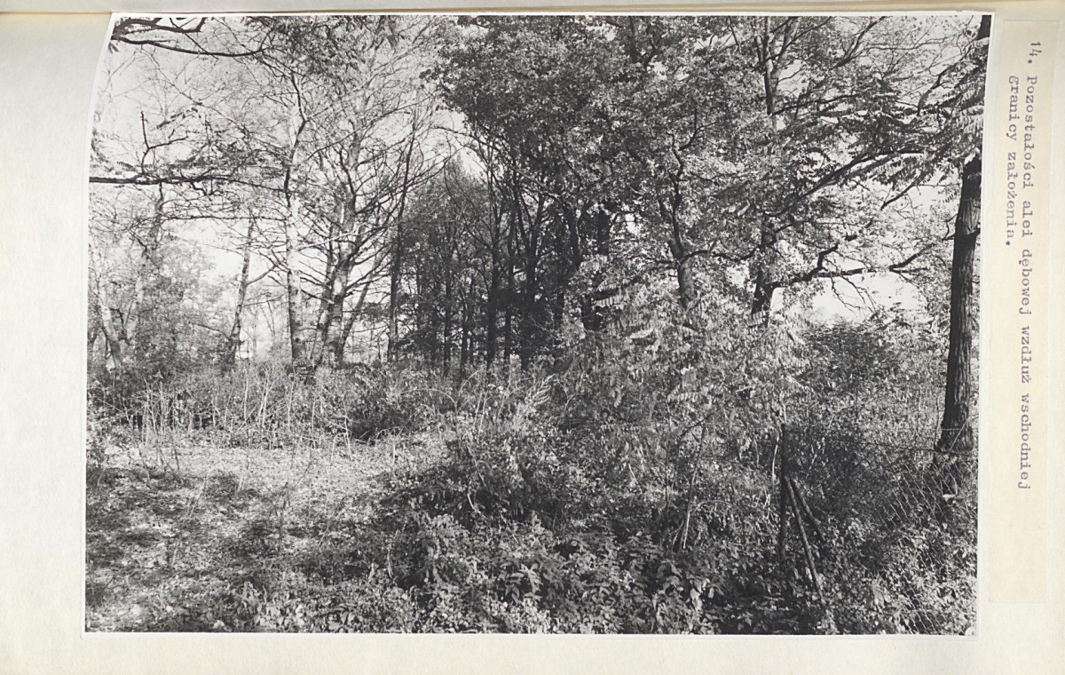 EP - Ewidencja parkowa, skan nr 44