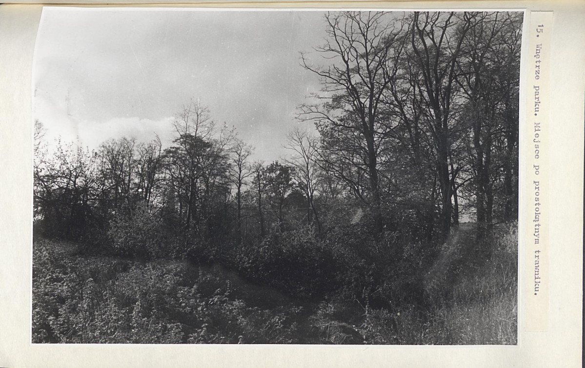 EP - Ewidencja parkowa, skan nr 45