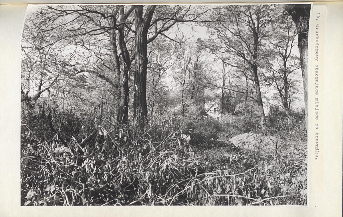 EP - Ewidencja parkowa, skan nr 46