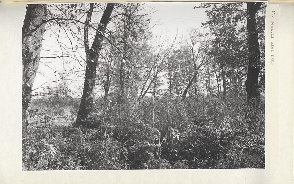 EP - Ewidencja parkowa, skan nr 47