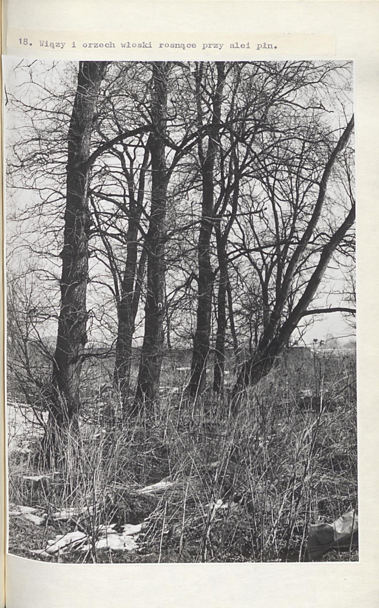 EP - Ewidencja parkowa, skan nr 48