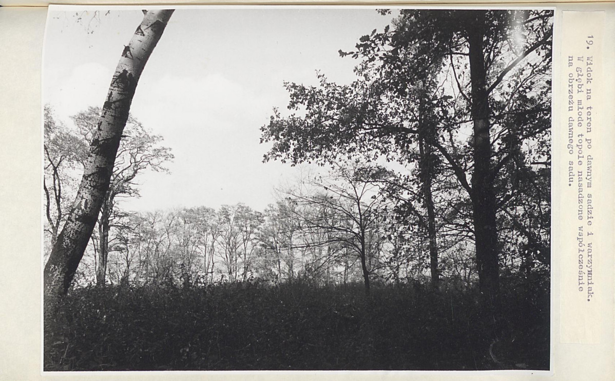 EP - Ewidencja parkowa, skan nr 49