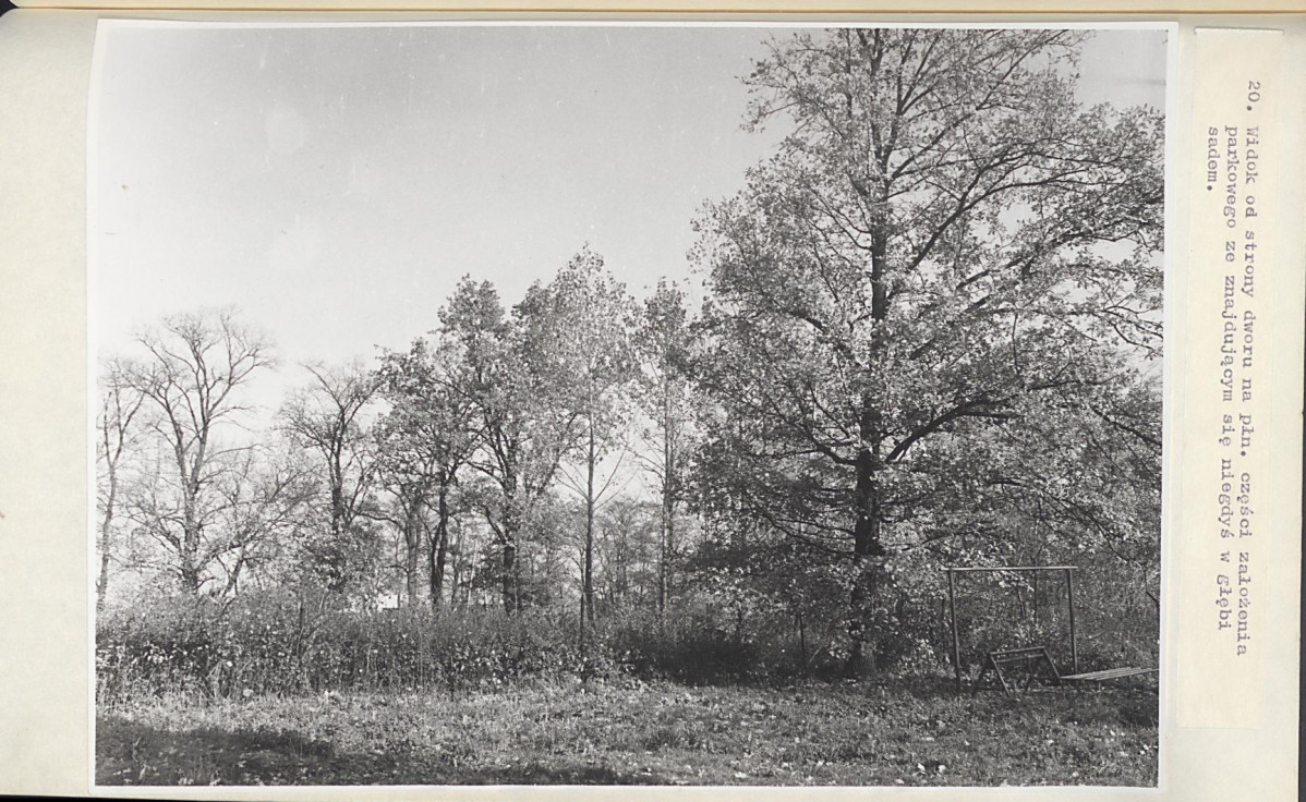 EP - Ewidencja parkowa, skan nr 50