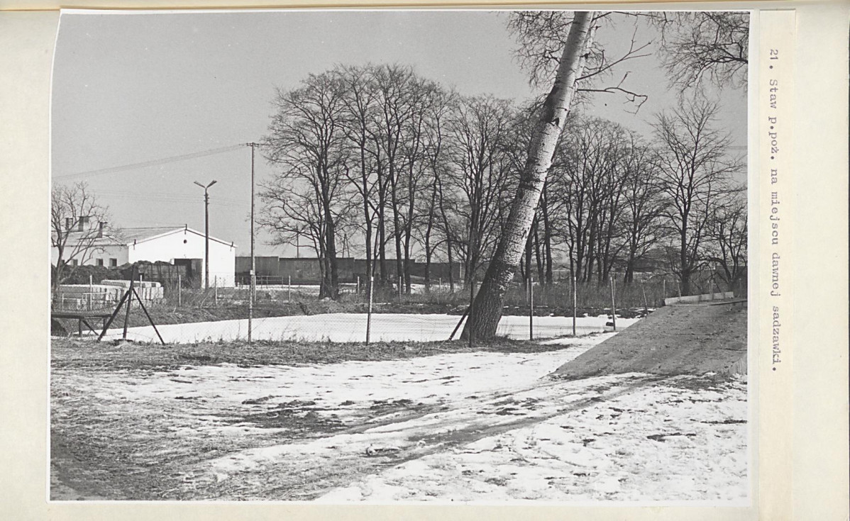 EP - Ewidencja parkowa, skan nr 51