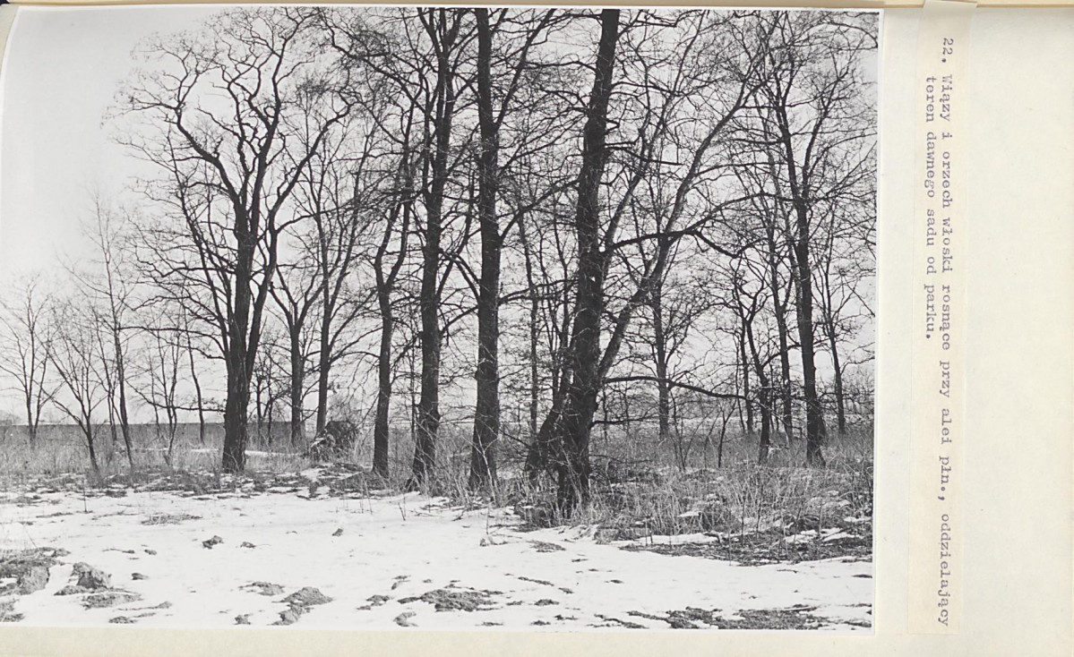 EP - Ewidencja parkowa, skan nr 52