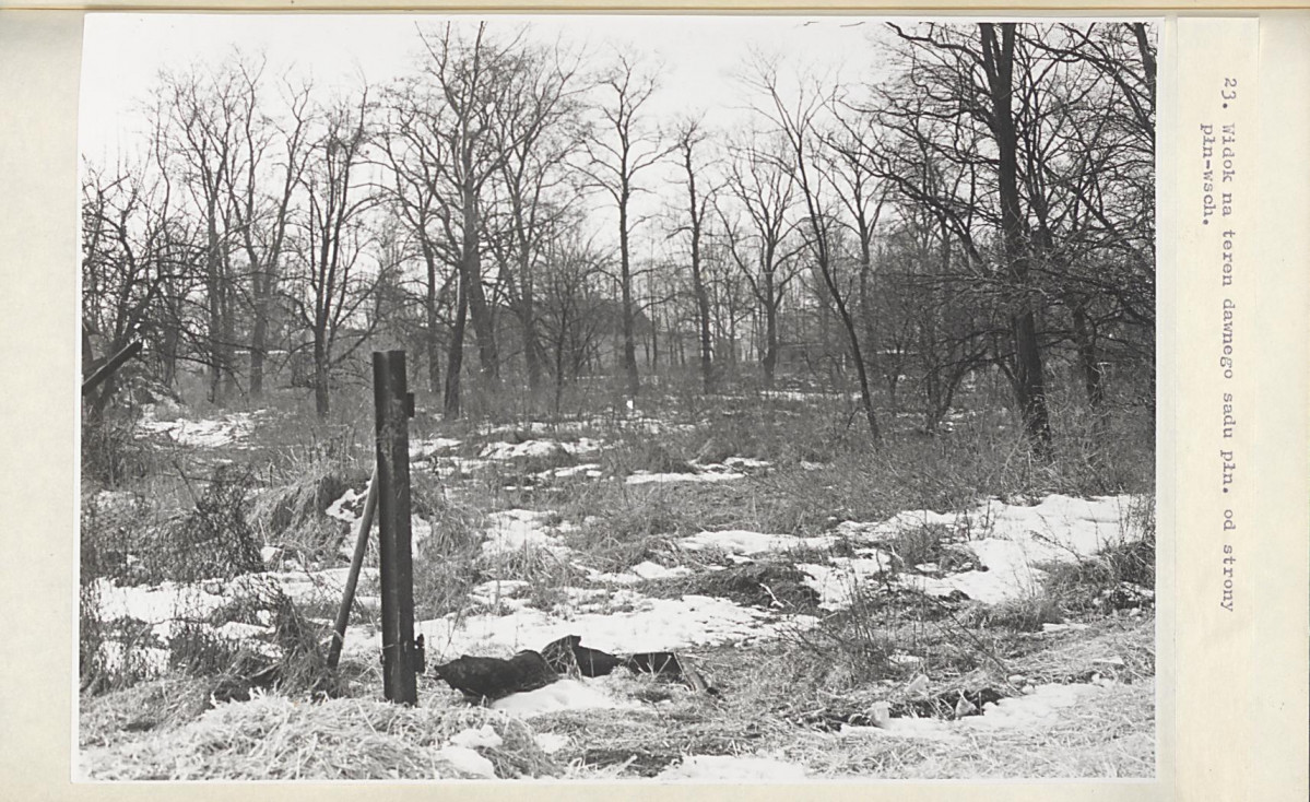 EP - Ewidencja parkowa, skan nr 53