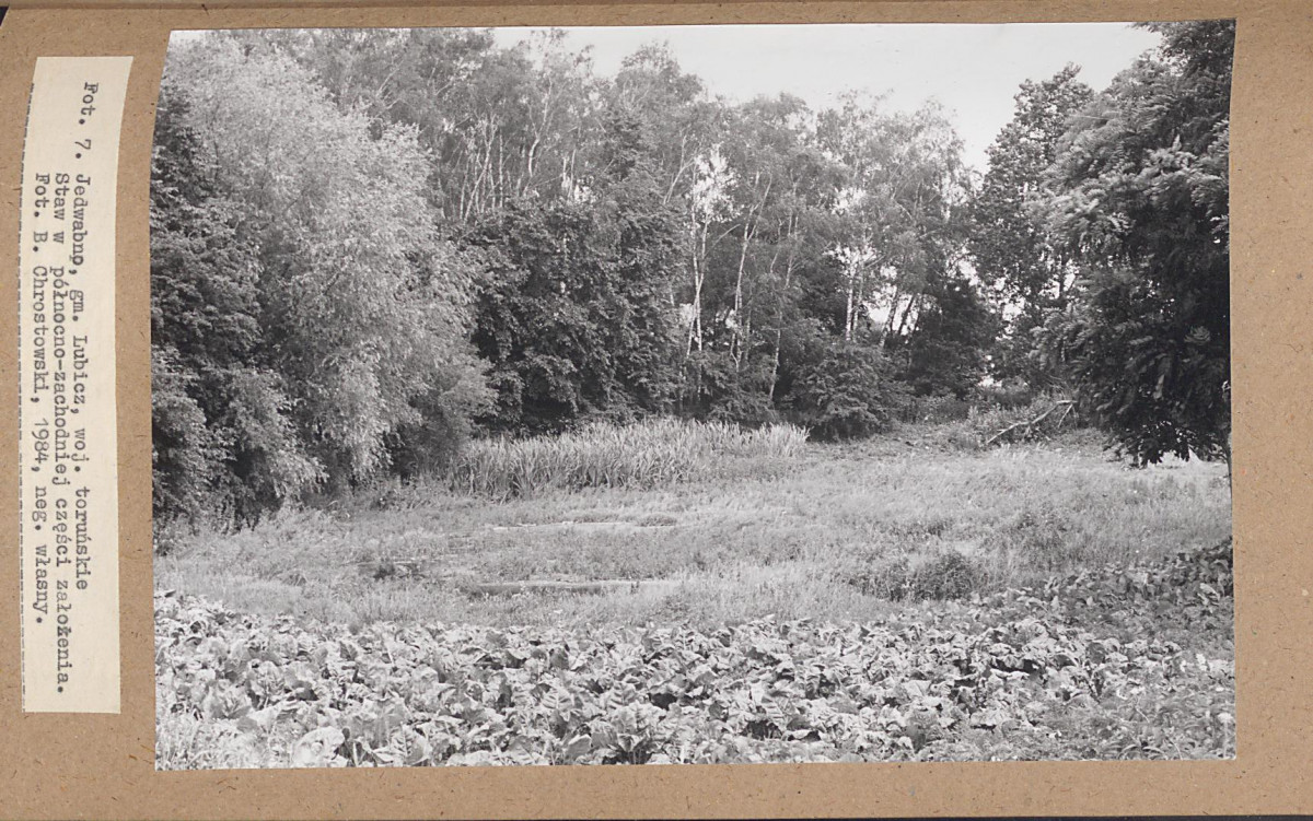 EP - Ewidencja parkowa, skan nr 27