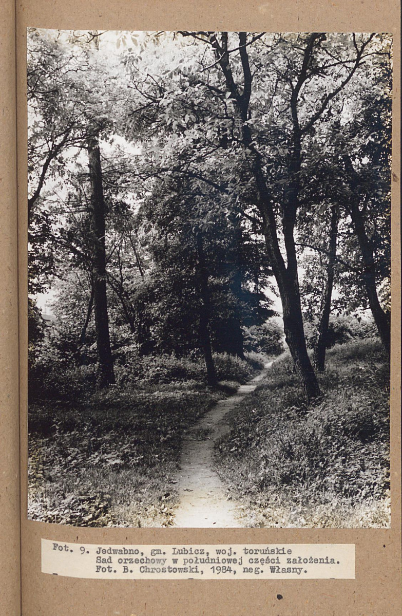 EP - Ewidencja parkowa, skan nr 29