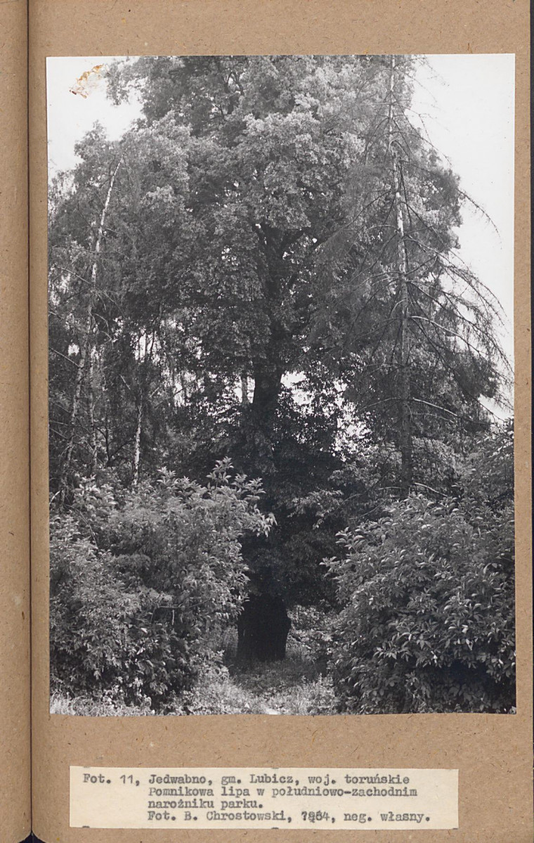 EP - Ewidencja parkowa, skan nr 31