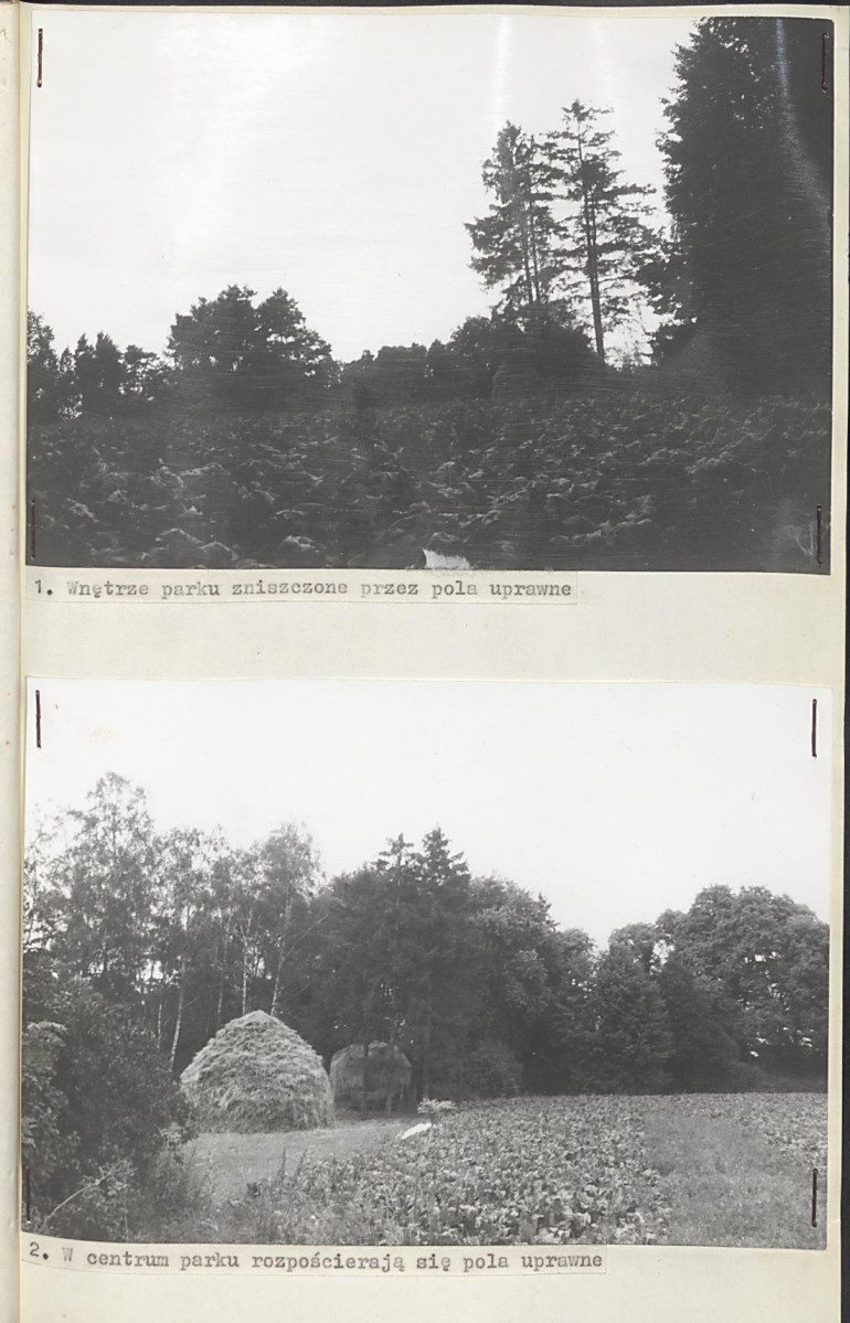 EP - Ewidencja parkowa, skan nr 25