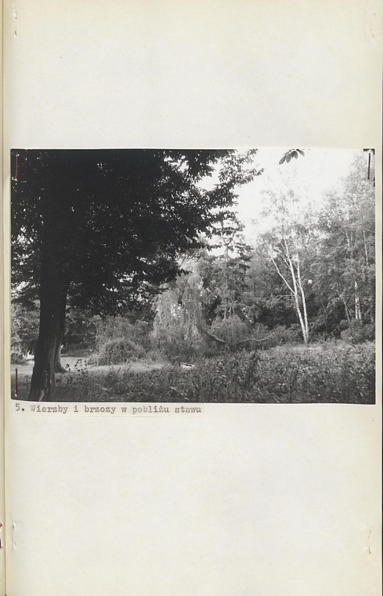 EP - Ewidencja parkowa, skan nr 27