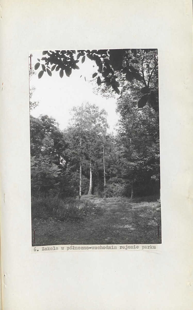 EP - Ewidencja parkowa, skan nr 28