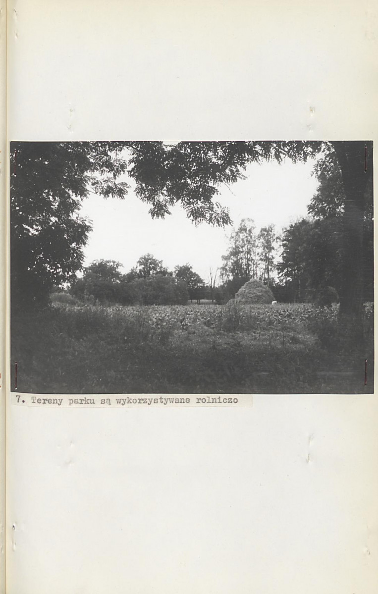 EP - Ewidencja parkowa, skan nr 29