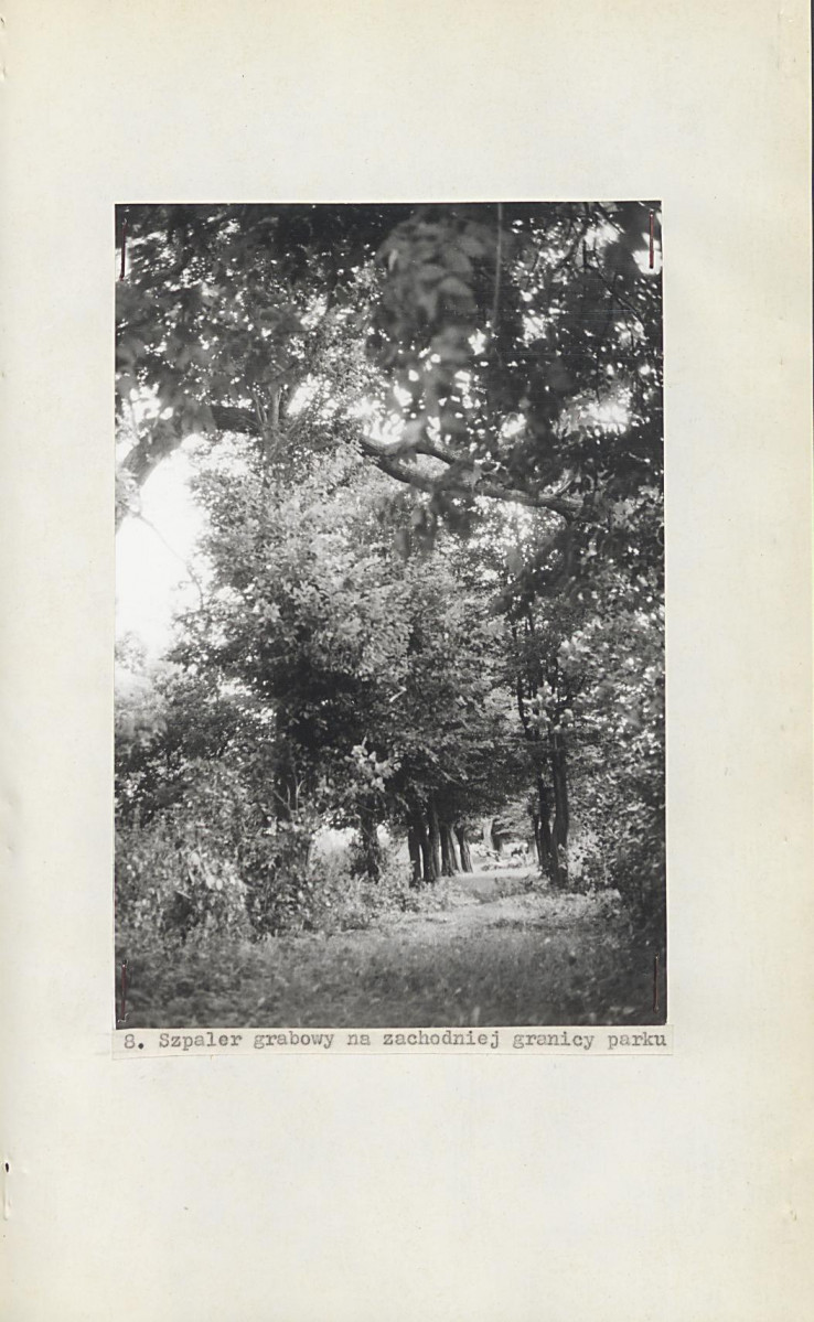 EP - Ewidencja parkowa, skan nr 30