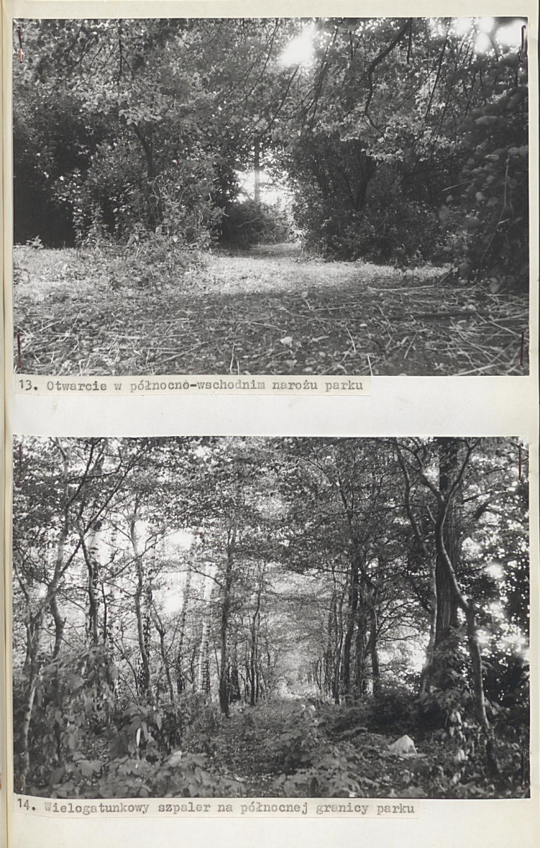 EP - Ewidencja parkowa, skan nr 33