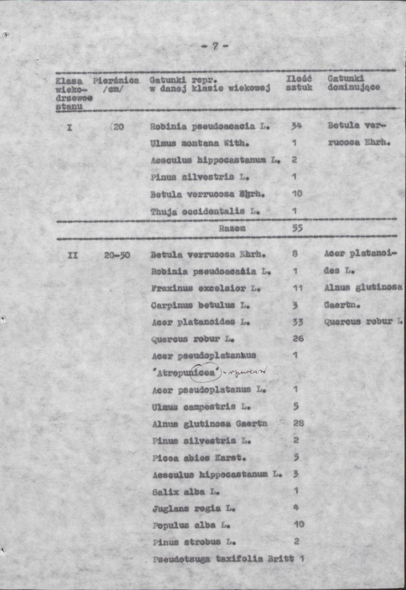 EP - Ewidencja parkowa, skan nr 13