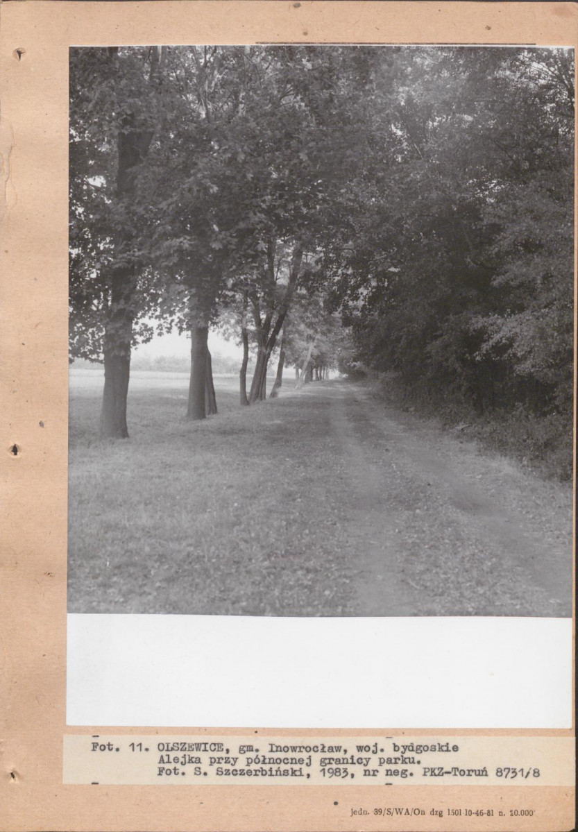 EP - Ewidencja parkowa, skan nr 31