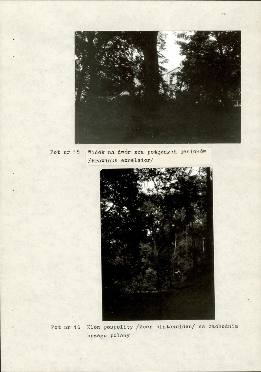 EP - Ewidencja parkowa, skan nr 33