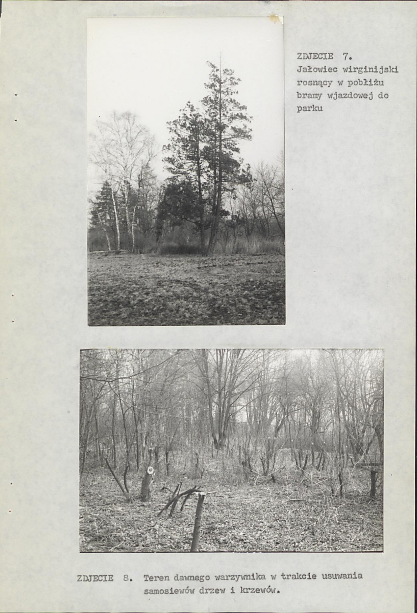 EP - Ewidencja parkowa, skan nr 35