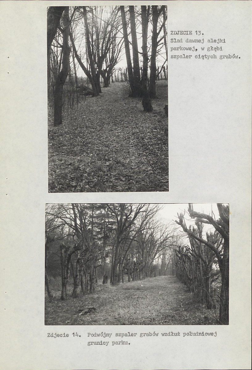 EP - Ewidencja parkowa, skan nr 38