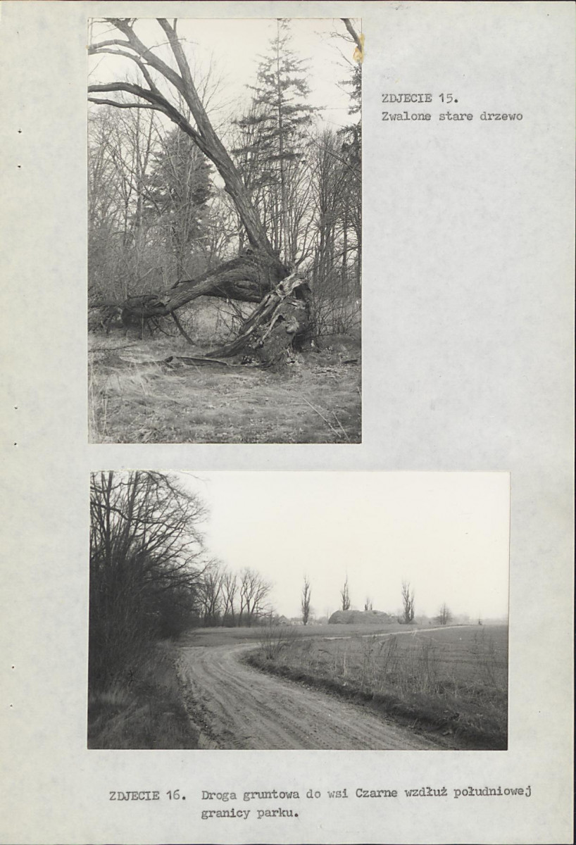 EP - Ewidencja parkowa, skan nr 39