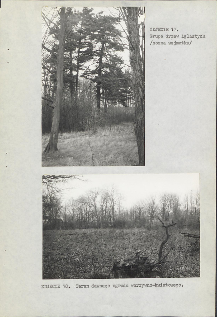 EP - Ewidencja parkowa, skan nr 40