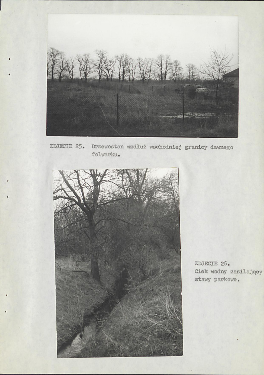 EP - Ewidencja parkowa, skan nr 44