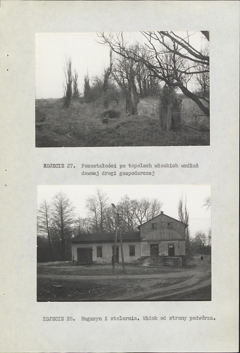 EP - Ewidencja parkowa, skan nr 45