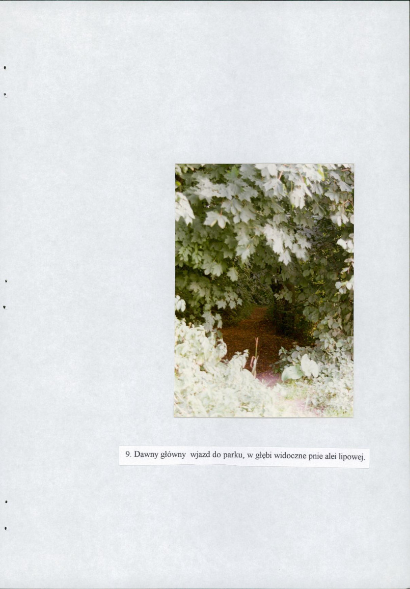 EP - Ewidencja parkowa, skan nr 31