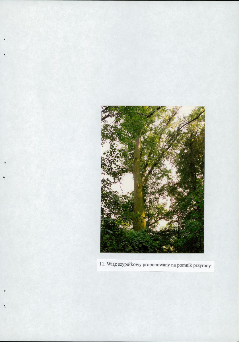 EP - Ewidencja parkowa, skan nr 33