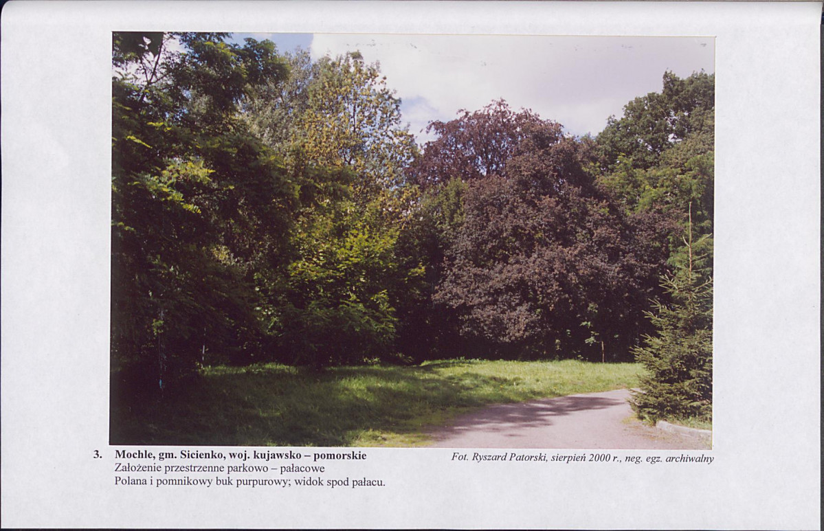 EP - Ewidencja parkowa, skan nr 21