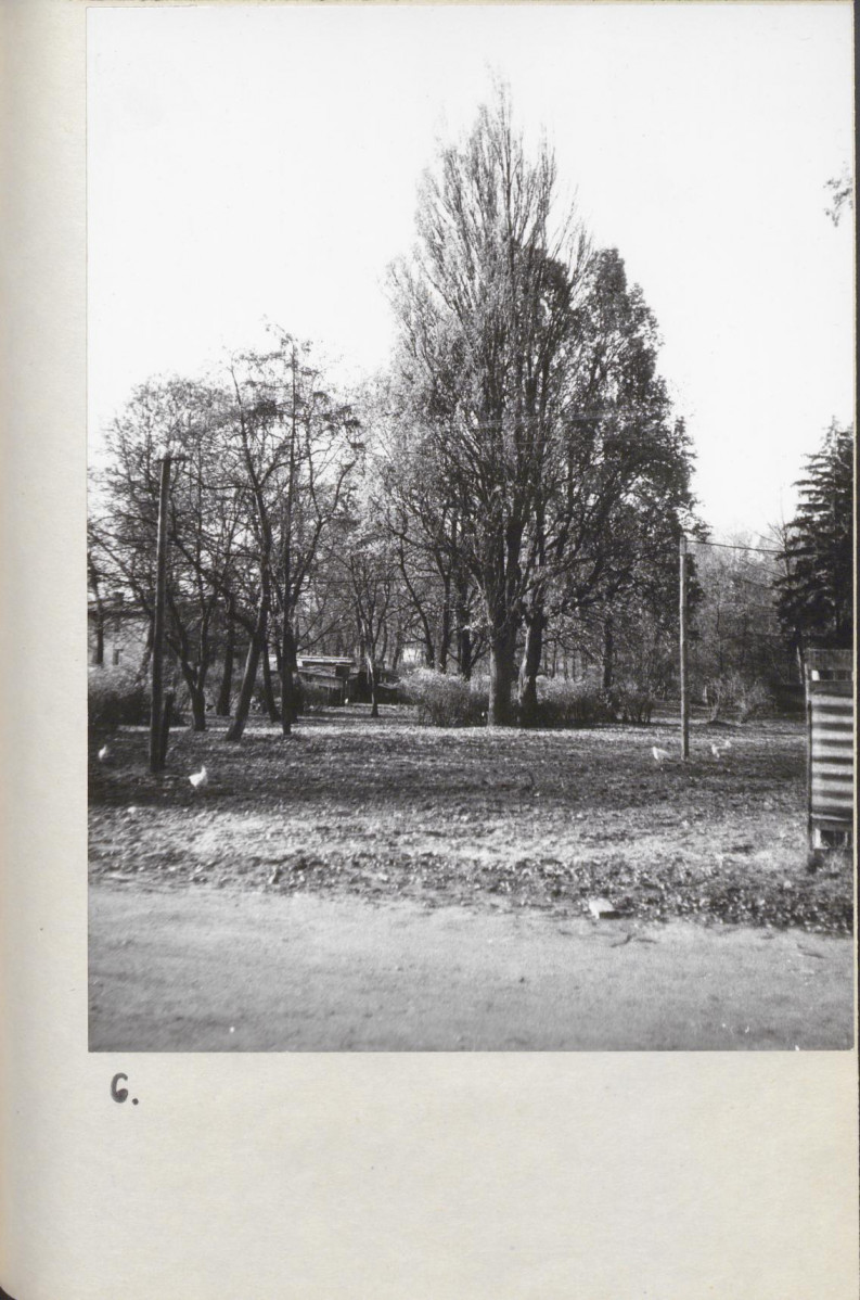 EP - Ewidencja parkowa, skan nr 29