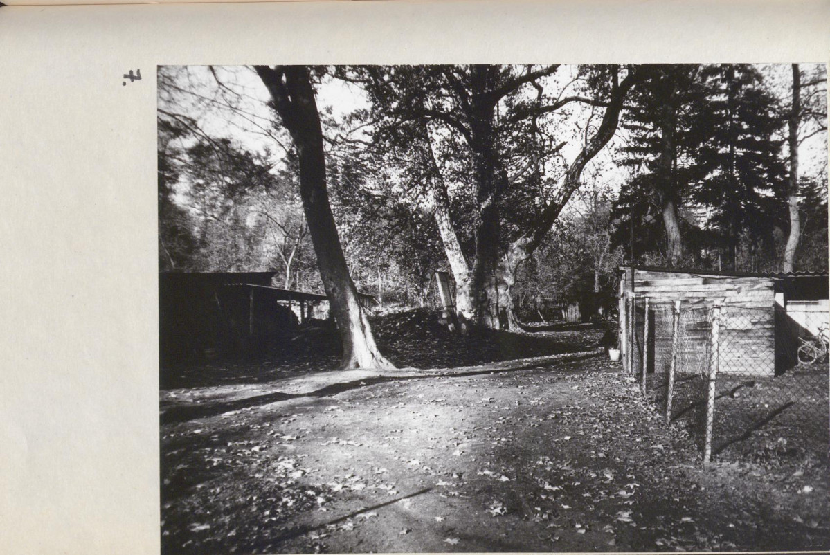 EP - Ewidencja parkowa, skan nr 30