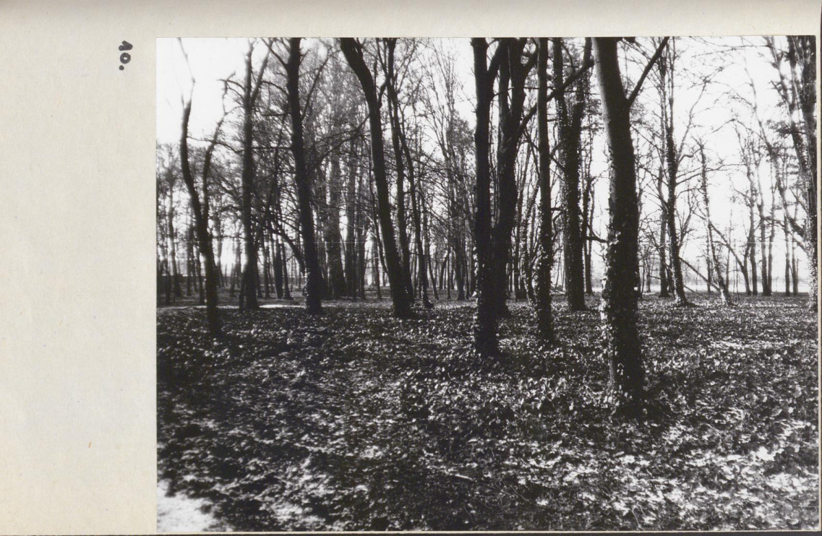 EP - Ewidencja parkowa, skan nr 33