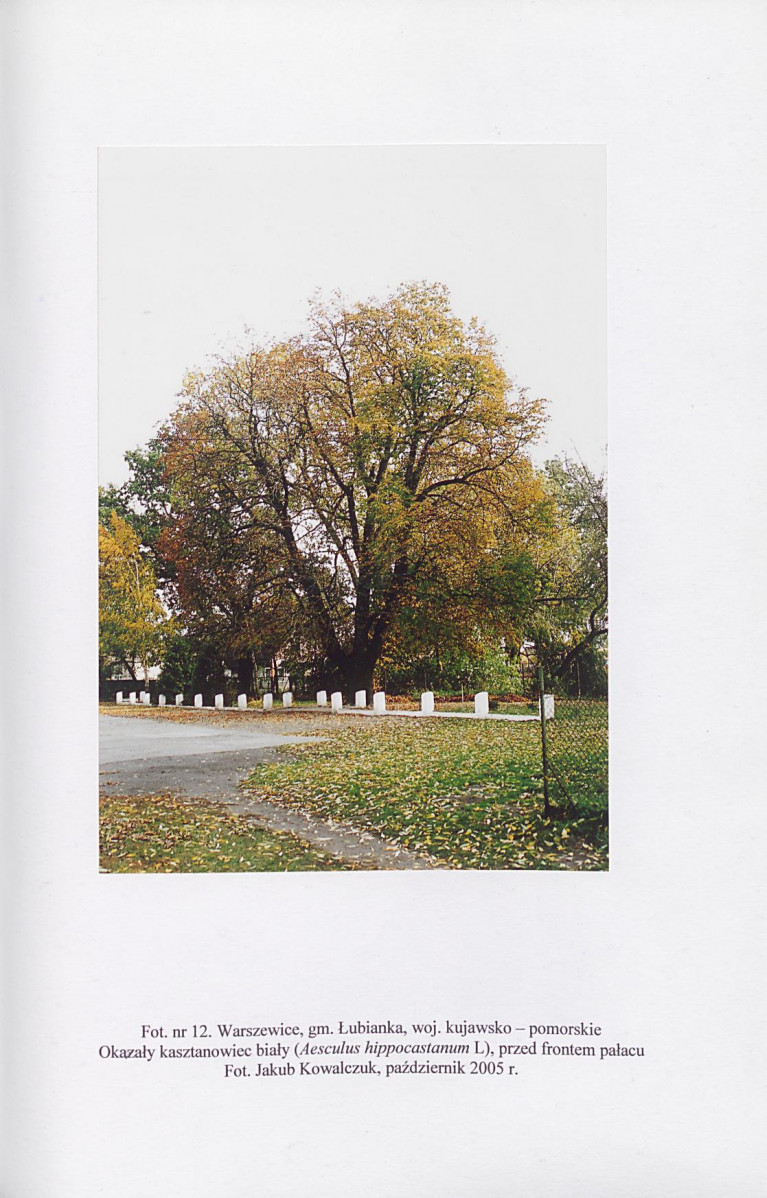 EP - Ewidencja parkowa, skan nr 45