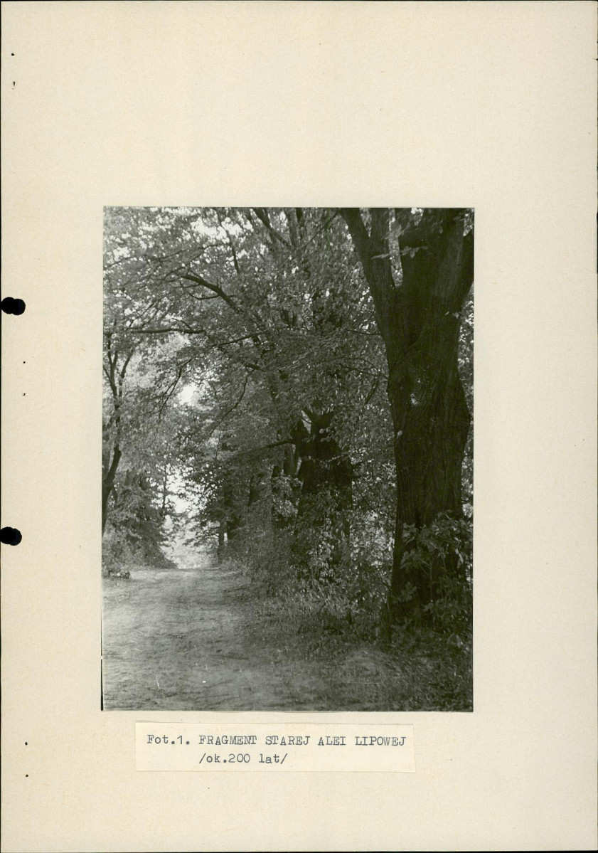 EP - Ewidencja parkowa, skan nr 18