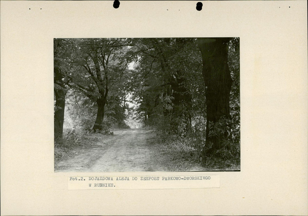 EP - Ewidencja parkowa, skan nr 19