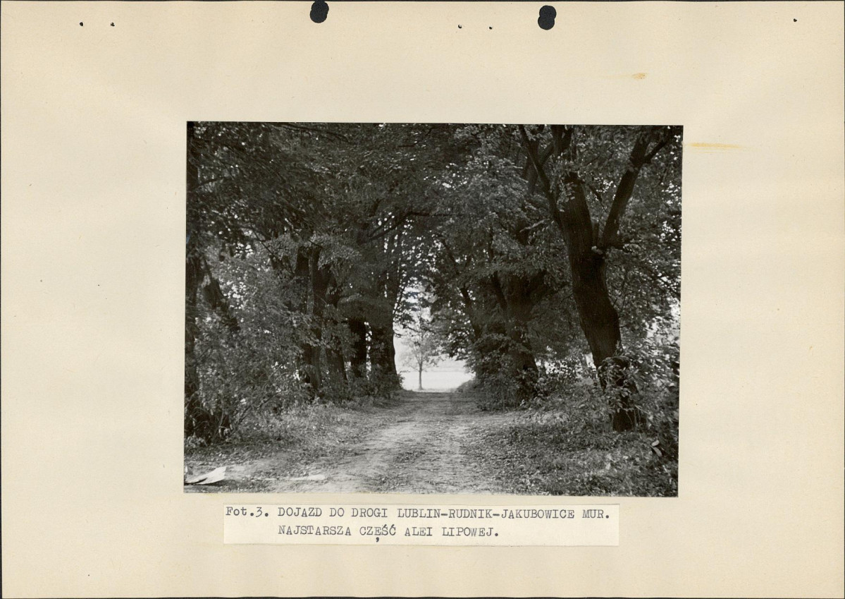 EP - Ewidencja parkowa, skan nr 20