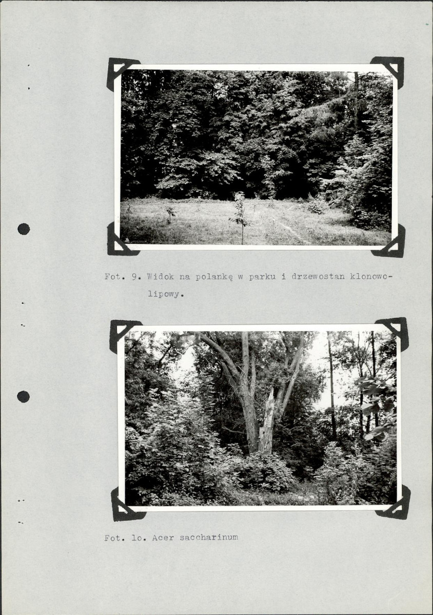 EP - Ewidencja parkowa, skan nr 23