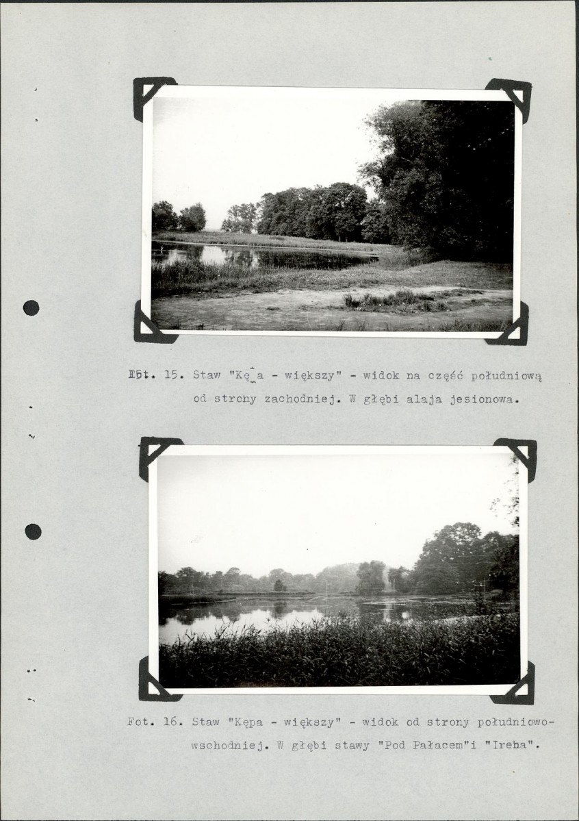 EP - Ewidencja parkowa, skan nr 26