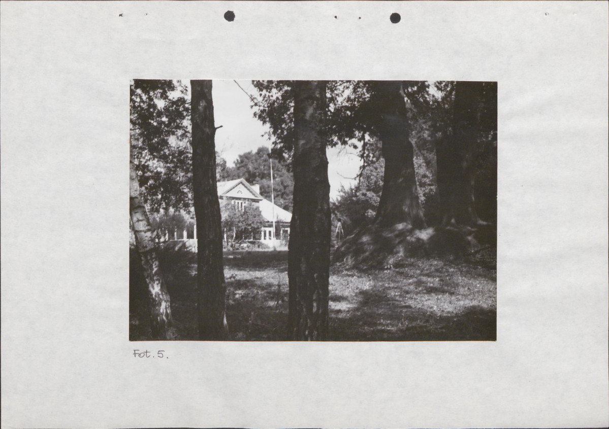 EP - Ewidencja parkowa, skan nr 24