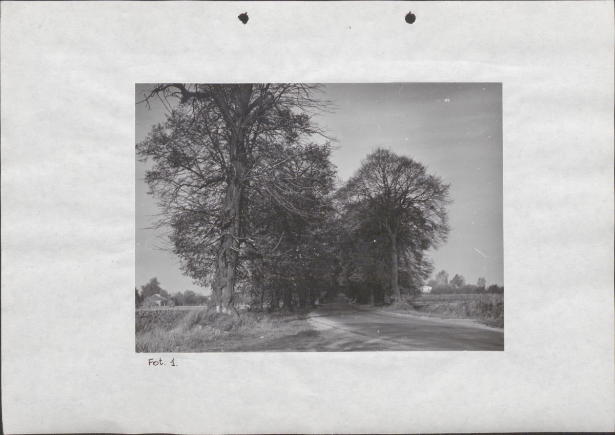 EP - Ewidencja parkowa, skan nr 28