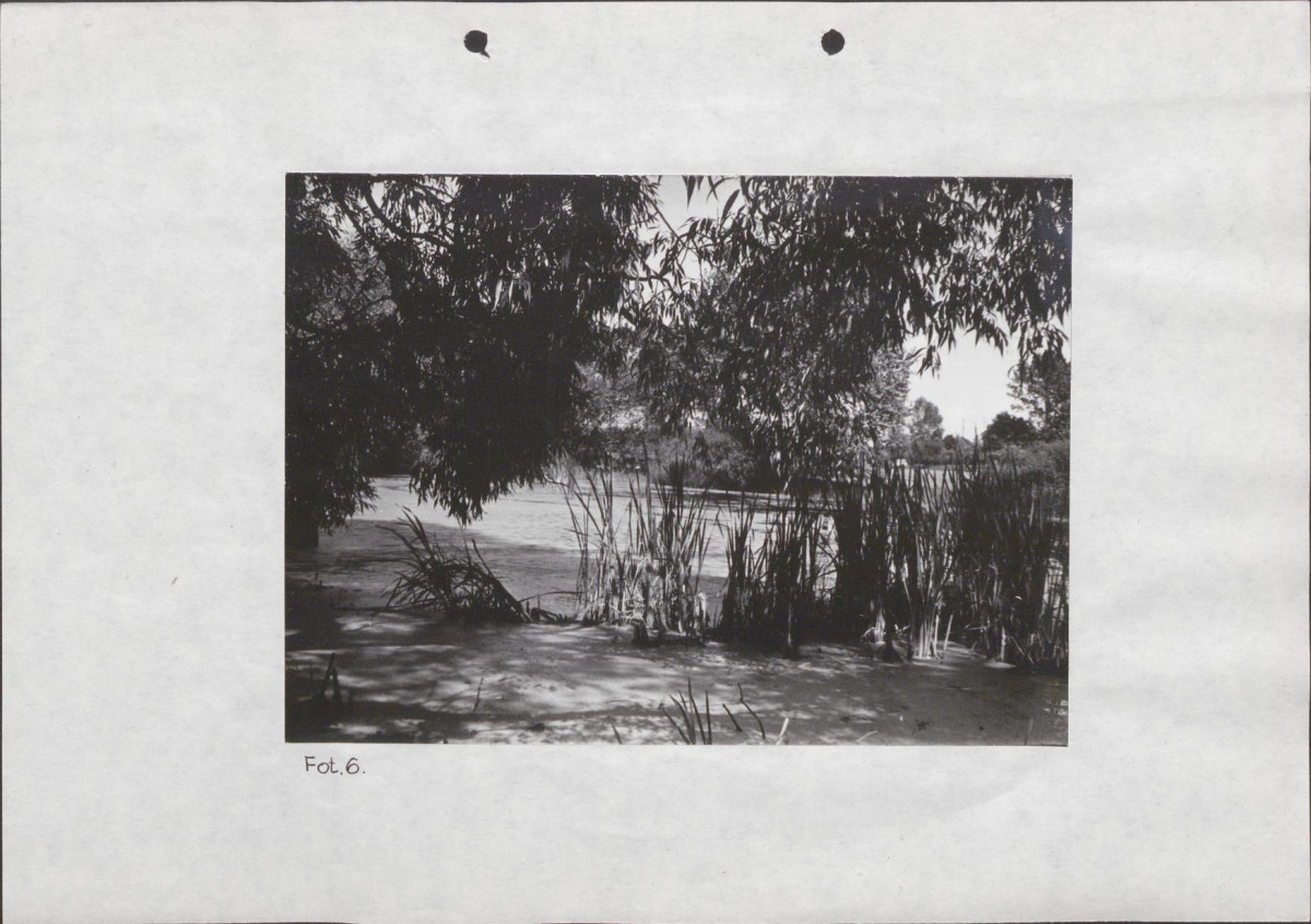 EP - Ewidencja parkowa, skan nr 33