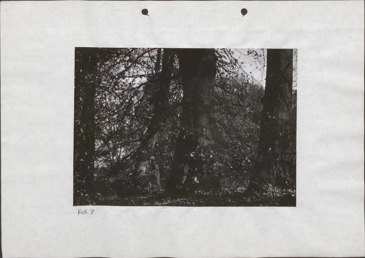 EP - Ewidencja parkowa, skan nr 34