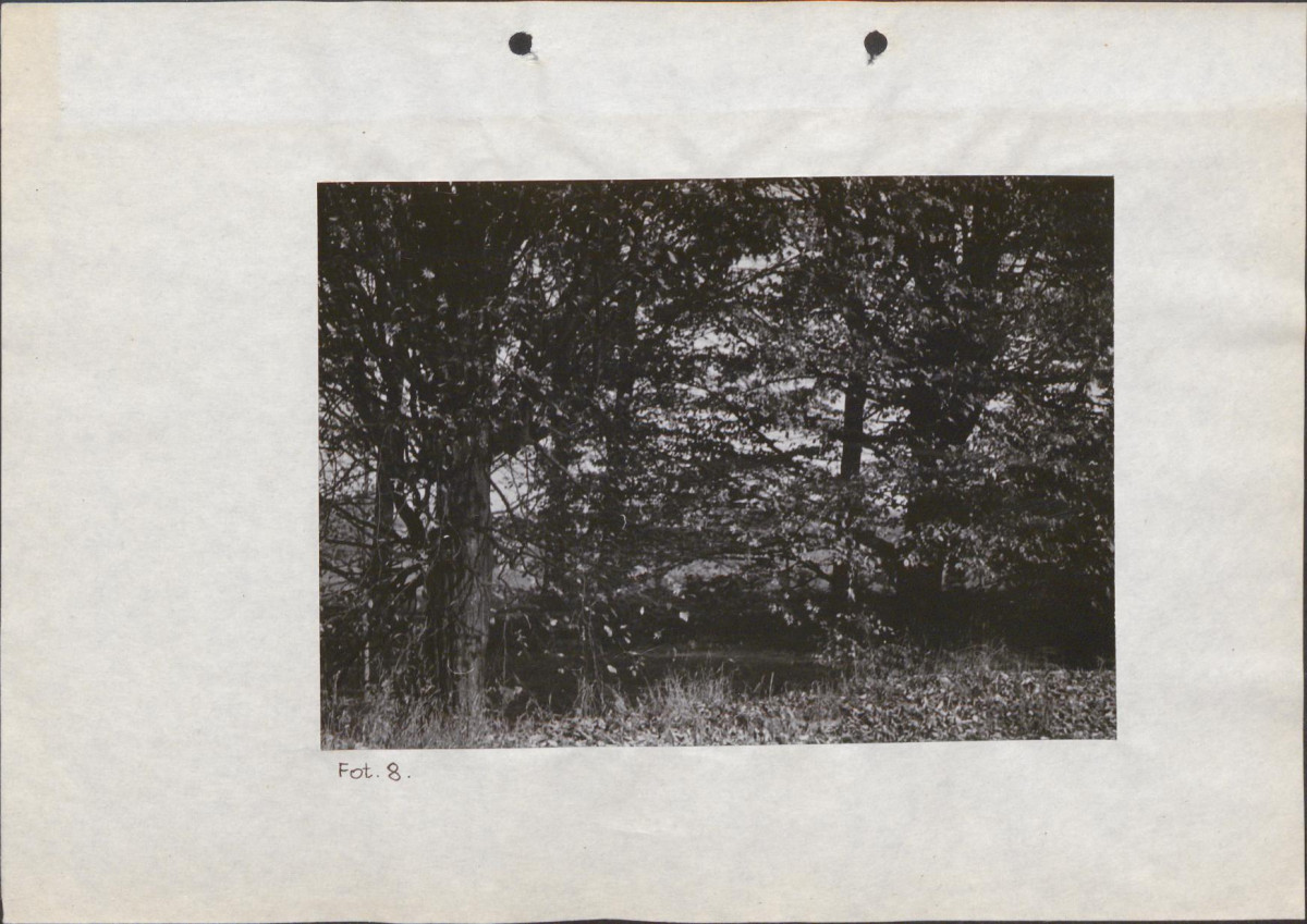 EP - Ewidencja parkowa, skan nr 35