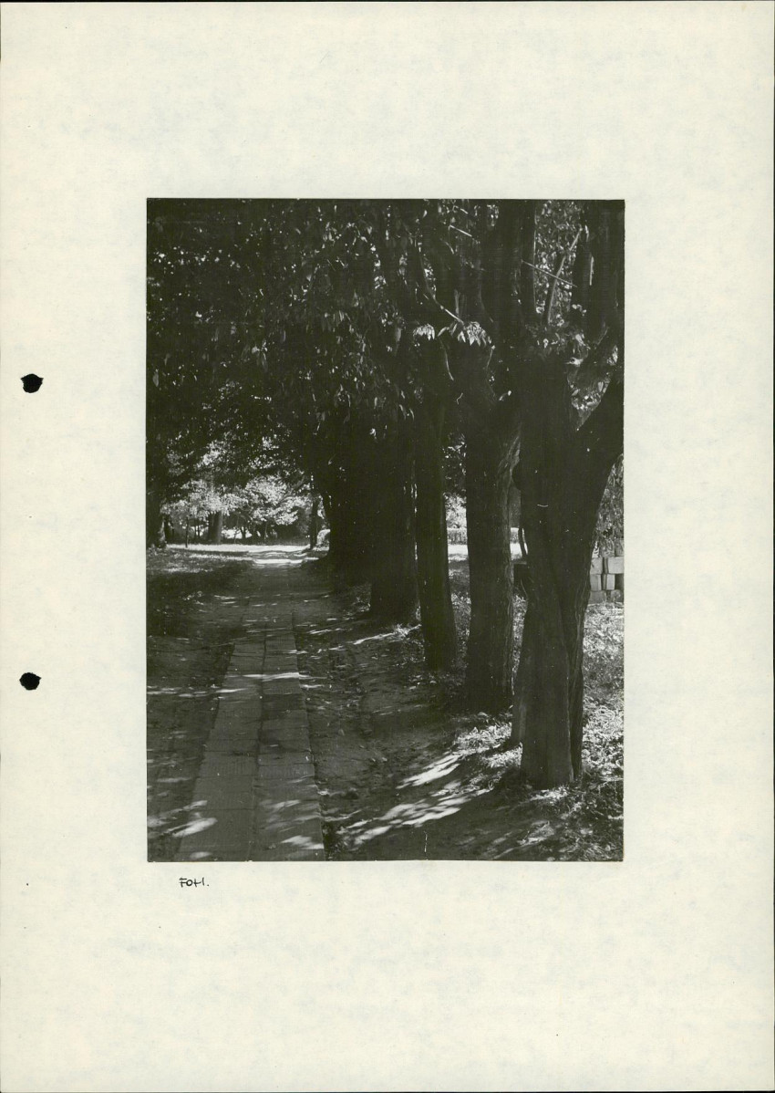 Ewidencja parkowa, skan nr 23