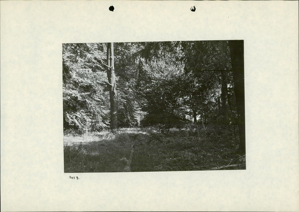 Ewidencja parkowa, skan nr 25