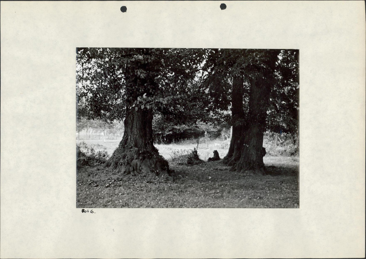 EP - Ewidencja parkowa, skan nr 33