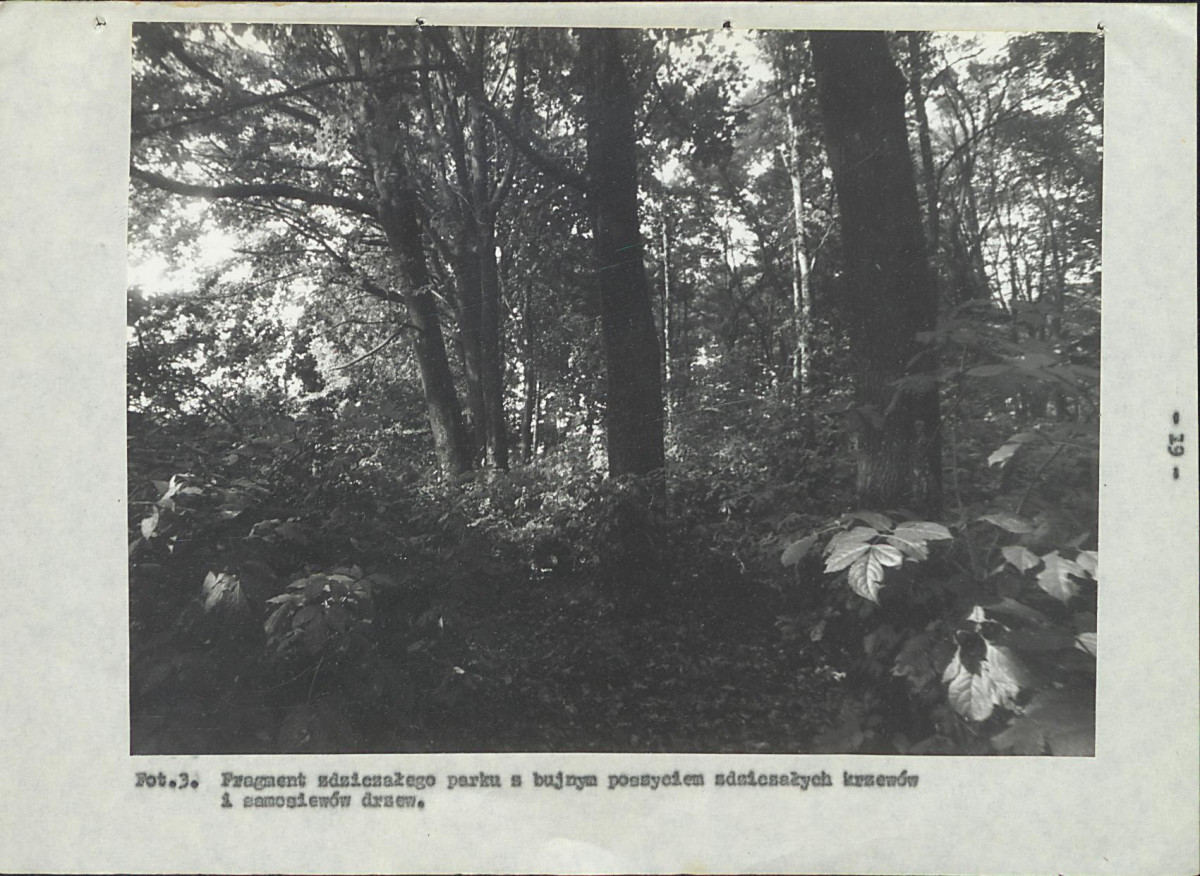 EP - Ewidencja parkowa, skan nr 27