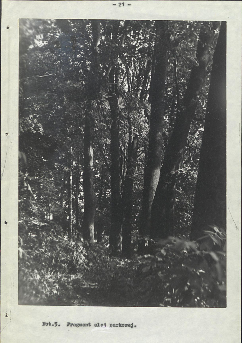 EP - Ewidencja parkowa, skan nr 29